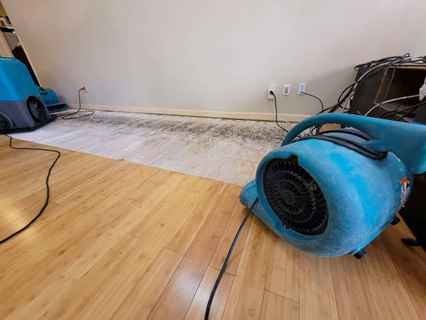 Professional Structural Drying technician working in Belton, TX